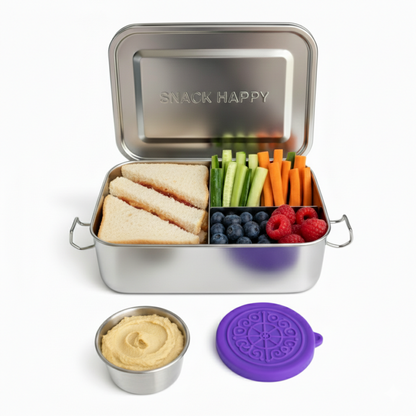 Stainless Steel Bento Box, Small 850ml Metal Lunch Box for Kids & Adults, 29oz Leak-Proof, No Mix up Lunch Food Container with Removable Divider & Sauce contain